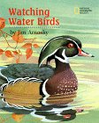 Watching Water Birds