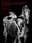An Atlas of Animal Anatomy for Artists