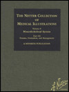 Musculoskeletal System