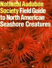 National Audubon Society Field Guide to North American Seashore Creatures