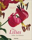 The Lilies