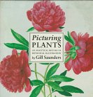 Picturing Plants: An Analytical History of Botanical Illustration