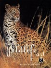 Best of Wildlife Art 2