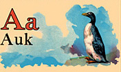 Wildlife Alphabet