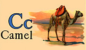 Wildlife - Camel