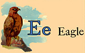 Wildlife - Eagle
