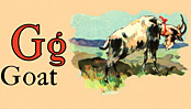 Wildlife - Goat