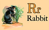 Wildlife - Rabbit