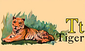 Wildlife - Tiger
