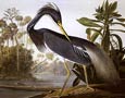 John James Audubon - Carolina Parrot