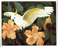 Jessie Arms Botke - Cockatoo & Hibiscus