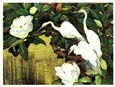 Jessie Arms Botke - Tropical Pool
