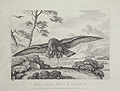 Eagle, hare, hawk, and sparrow
