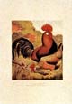 J.w. Ludlow - Chickens