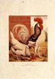 J.w. Ludlow - Chickens