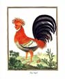F. Martinet - Coq Hupe
