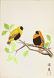 Pair of birds