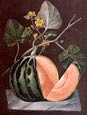 George Brookshaw - Fruit 12 of 12