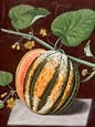 Geroge Brookshaw - Fruit 11 of 12