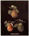 George Brookshaw - Pears