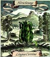 de Bry: Hirschzung