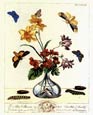 Moses Harris - Glass Vase