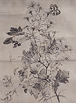 plant and butterfly