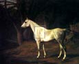 Jacques-Laurent Agasse - Forest Dapple