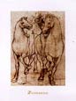 Leonardo da Vinci - Studio Di Cavelli Con Cavalieri