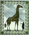 Georges-Louis Buffon - Buffon Giraffe I
