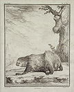 L'unau
