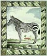 Georges-Louis Buffon - Buffon Zebra I