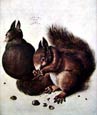 Albrecht Durer - Squirrels 1512 (Engraving)