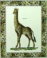 Sir Edwin Henry Landseer - Giraffe with Giraffe Border II