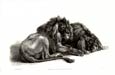 Sir Edwin Henry Landseer - 2 Lions Lying Down