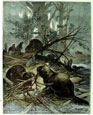 Friedrich Specht - Beaver