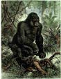 Friedrich Specht - Gorilla