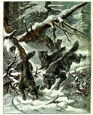 Friedrich Specht - Wolf