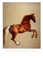Whistlejacket, George Stubbs