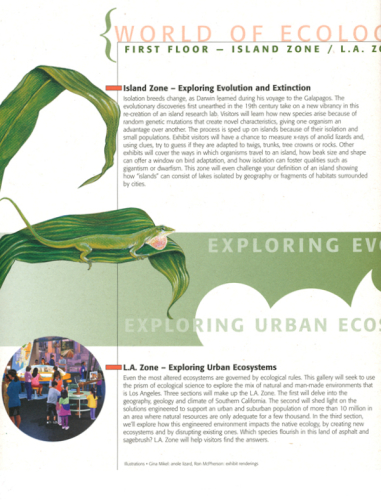 California-Science-Center-Anole-300-600w