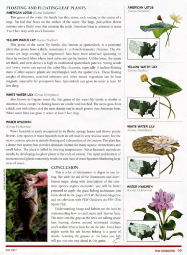 FLW-Outdoors-Lotus-Lily-Hyacinth-300-600w.png
