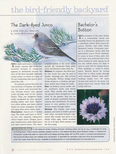 Organic-Gardening-Dark-Eyed-Junco-300-600w