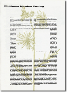 UW-Resarch-Parks-Compass-Plant