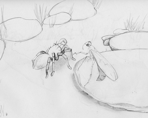 Tarantula-and-Wasp-300.png
