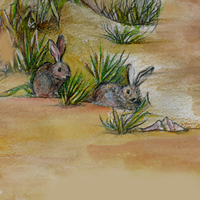 Brooklyn-Childrens-Museum-beach-rabbit-detail-300
