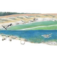 Brooklyn-Childrens-Museum-intertidal-200x