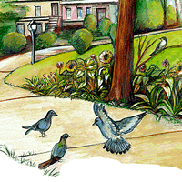 Brooklyn-Childrens-Museum-park-pigeons-detail-200x