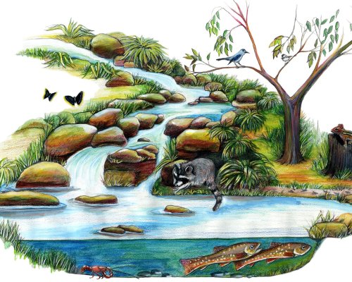 Brooklyn-Childrens-Museum-stream-300-2000px