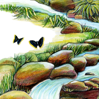 Brooklyn-Childrens-Museum-stream-butterflies-detail-200x