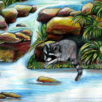 Brooklyn-Childrens-Museum-stream-raccoon-detail-200x